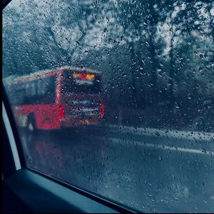 眼镜少妇性爱视频
