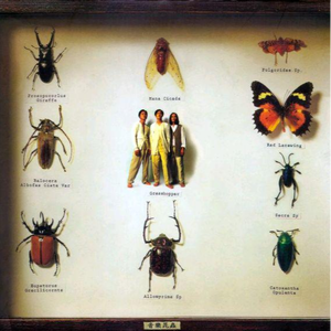 眼镜少妇性爱视频
