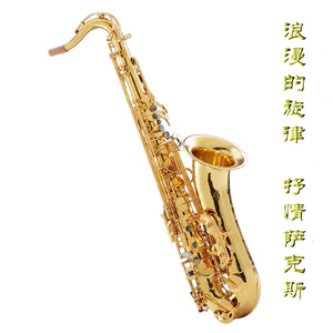 眼镜少妇性爱视频
