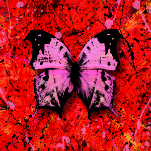 眼镜少妇性爱视频
